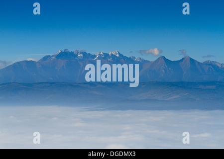 Tatra mountains above the clouds. Panorama of Tatra range seen early morning from highest peak of Pieniny mountains, Trzy Korony Stock Photo