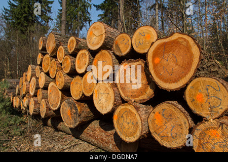 Logs, Germany