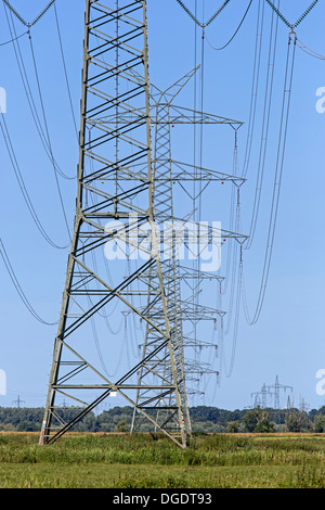 Power poles, Schleswig Holstein, Germany Stock Photo