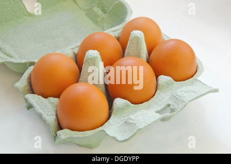 six eggs in a container Stock Photo