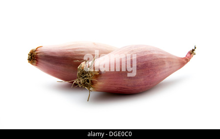two shallots isolated on white background Stock Photo