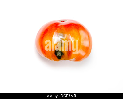 Rotten tomato Cut Out Stock Images & Pictures - Alamy