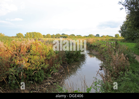 The River Windrush near Witney Lake, Oxfordshire, England, UK. Stock Photo