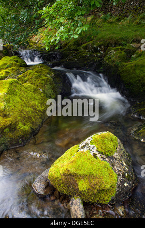 Waterfall, Lake District, UK Stock Photo