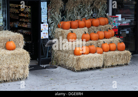 Pumpkins on sale in New York Stock Photo