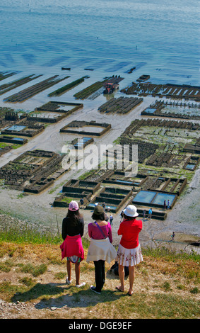 Oyster beds at low tide, Cancale, Brittany, Northern France, Europe Stock Photo