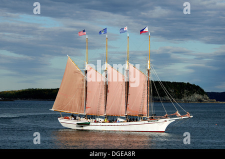 Afternoon sunlight catches the schooner 'Margaret Todd' sailing out of Bar Harbor, Maine. Stock Photo