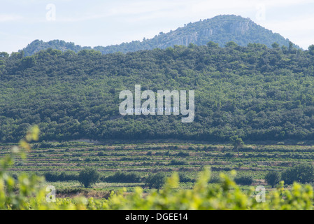 Vacqueyras vineyards on foothills of the Dentelles de Montmirail in the Vaucluse Stock Photo