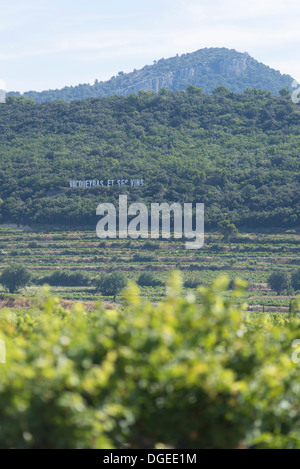 Vacqueyras vineyards on foothills of the Dentelles de Montmirail in the Vaucluse Stock Photo