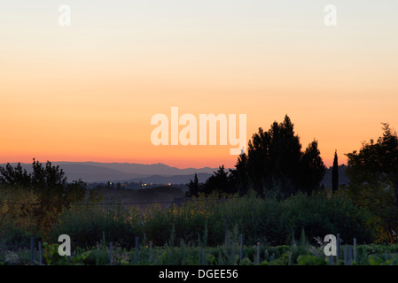View over vineyards at Sablet in the Vaucuse after sunset with distant view of hills Stock Photo