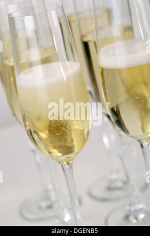 Champagne reception with sparkling wine in glasses in a row Stock Photo