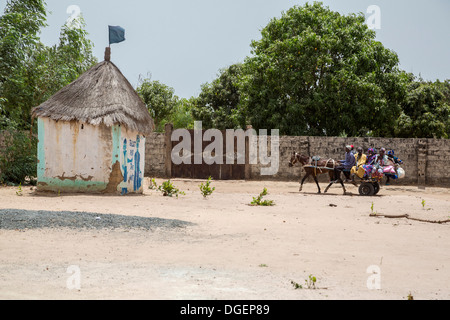 Rural Transport, a Horse-drawn Cart, Fass Njaga Choi, North Bank Region, The Gambia. Stock Photo