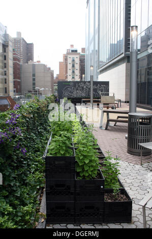 Manhattan, New York, USA. 02nd July, 2013. View of the garden of the restaurant 'River Park' in Manhattan, New York, USA, 02 July 2013. The beds of the garden were created in milk carrying boxes of plastic. New York is known for skyscrapers and street canyons, but the metropolis is also surprisingly green. With 'Urban Gardening' many people return to nature - whether in health consciousness or pure necessity. Photo: Christina Horsten/dpa/Alamy Live News Stock Photo