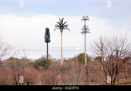 Three mobile phone masts disguised as trees in the Mosi oa Tunya National Park, near the Victoria Falls, Zambia Africa Stock Photo