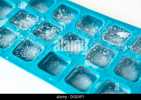 Blue tray of ice cubes Stock Photo