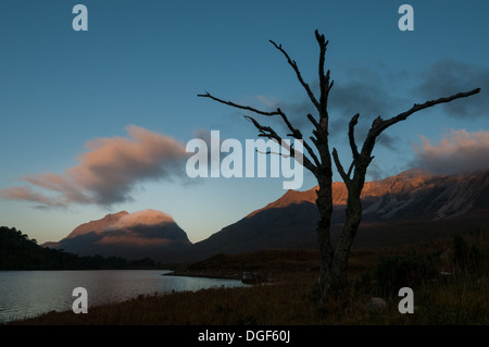 Lone dead tree by Loch Clair, Glen Torridon, with Liathach and Beinn Eighe in the background Stock Photo