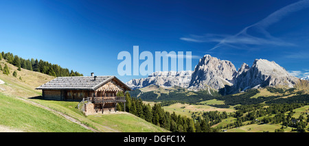 Chalet, the Dolomites at back, Seis am Schlern, South Tyrol province, Trentino-Alto Adige, Italy Stock Photo