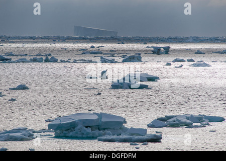 Icebergs floating in the South Atlantic Ocean, Weddell Sea, Antarctic Peninsula, Antarctica Stock Photo