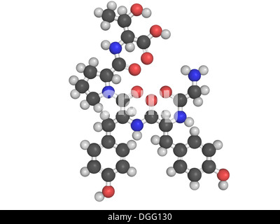 glutenin molecule