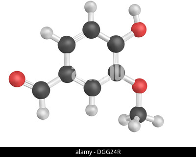 Chemical structure of Vanillin. Vanillin is the main component of vanilla extract. Stock Photo