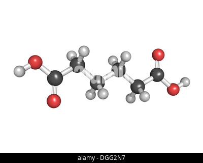 Adipic acid, nylon (polyamide) building block. Atoms are represented as spheres with conventional color coding Stock Photo