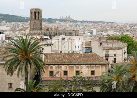 View from the roof of La Catedral de la Santa Creu i Santa Eulalia, The Cathedral of the Holy Cross and Saint Eulalia Stock Photo