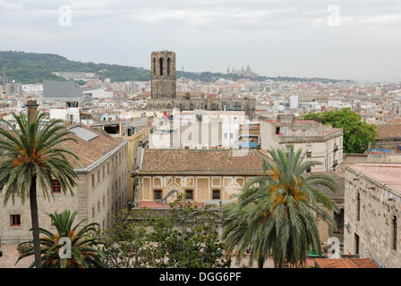 View from the roof of La Catedral de la Santa Creu i Santa Eulalia, The Cathedral of the Holy Cross and Saint Eulalia Stock Photo