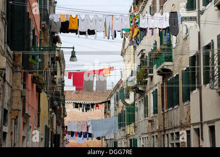 Landry on clotheslines stretched across an alley, Castello quarter, Venice, Venezia, Veneto, Italy, Europe Stock Photo