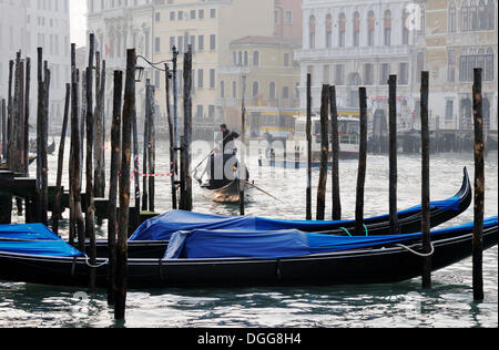 Gondolas and traghetto on the Grand Canal, San Tomà vaporetto stop, Palazzo Civran Grimani, Venice, Venezia, Veneto, Italy Stock Photo