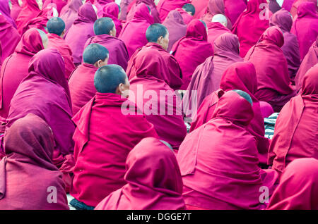 Many nuns wearing red cloths listening the teachings of Taklung Tsetru Rinpoche in the backyard of Junbesi Gompa, Junbesi Stock Photo