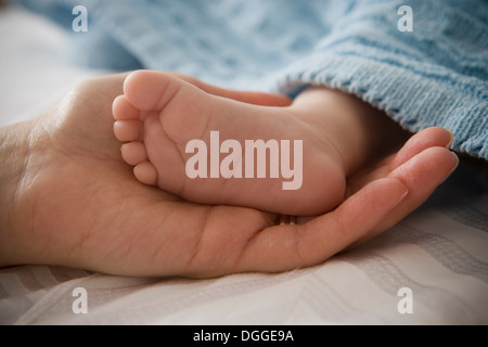 Mid adult woman holding baby boy's foot Stock Photo