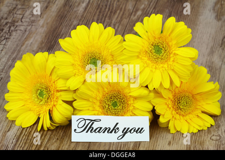 Thank you card with yellow gerbera daisies Stock Photo