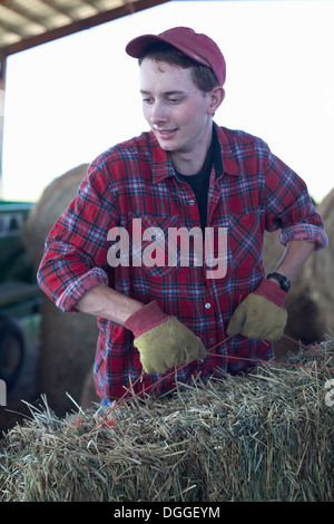 Young farmer lifting straw bale Stock Photo