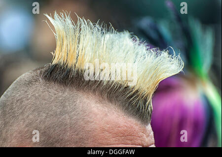 6897 Mohawk Hairstyle Images Stock Photos  Vectors  Shutterstock
