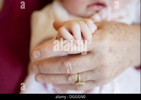 Baby girl holding senior woman's hand, close up Stock Photo