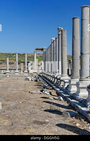 Ruins and the avenue of columns in the Agora, marketplace in the excavation site in the ancient city of Perge, Aksu Stock Photo