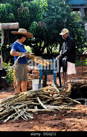 Pressing out sugar cane stems for the production of home-made sweets, small-scale agriculture in a former settlement of landless Stock Photo