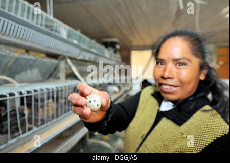 Young woman proudly showing an egg of the quail-breeding facility for the disabled, Mateo Quinto, Puebla, Mexico Stock Photo