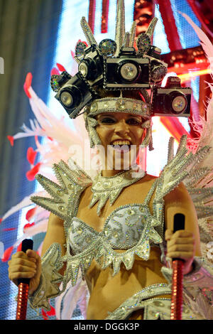 Samba dancer on a float, parade of the Academicos do Salgueiro samba school during the Carnival in Rio de Janeiro 2013