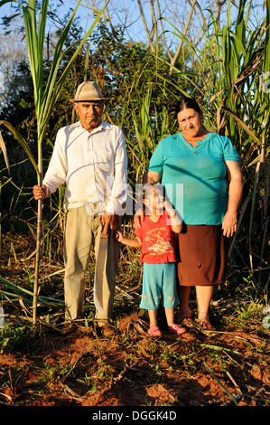 Peasant farmers, man, 70, woman, 47, and granddaughter, 3, in front of a sugarcane plantation, Pastoreo, Caaguazú Department Stock Photo