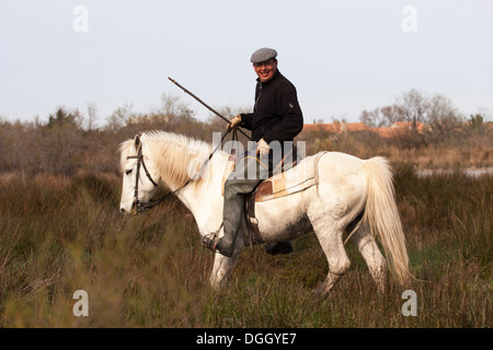 Gardian riding Camargue horse through a rural field in southern France Stock Photo