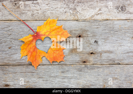 Fall in love photo metaphor. Maple leaf with heart shape on the wooden background Stock Photo