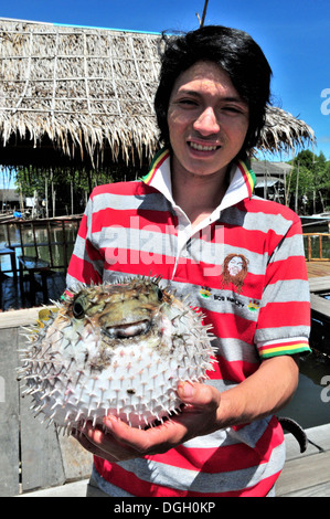 Man holding a bloated pufferfish (Krabi,Thailand) Stock Photo