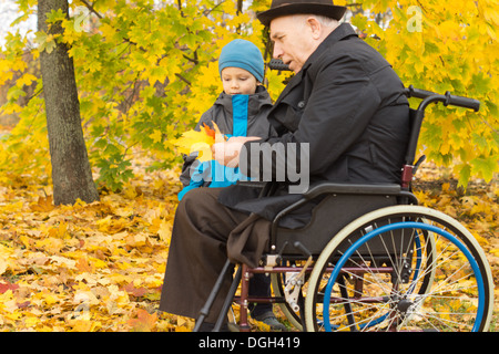 Disabled man and his grandson enjoying autumn playing together in colourful yellow woodland as the little boy brings fallen leaves to his grandfather in the wheelchair. Stock Photo