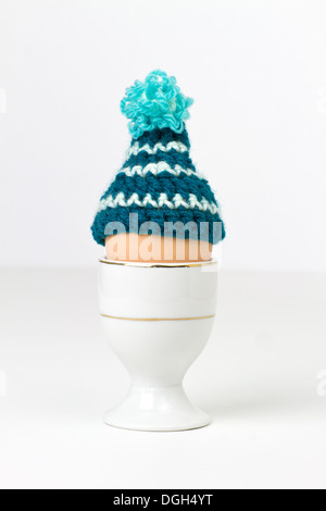 Egg in cup with cozy Stock Photo