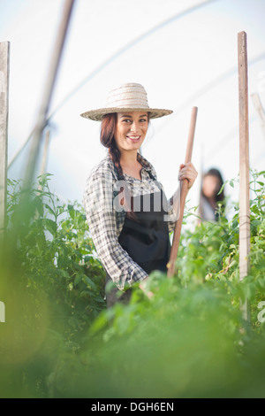 Young woman working in vegetable greenhouse Stock Photo