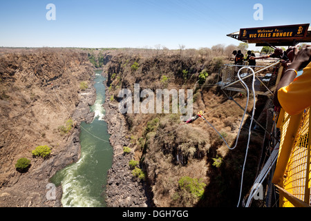 A bungee jumper bungee  jumping off the Victoria falls bridge between Zambia and Zimbabwe, Africa Stock Photo