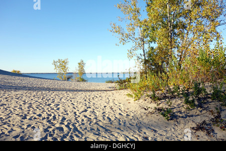 Sand dunes at the Sandbanks Provincial Park in Ontario, Canada Stock Photo