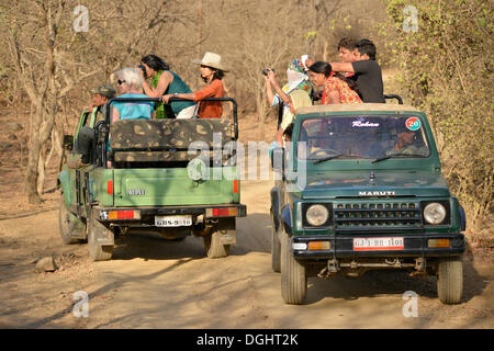 Tourists on safari vehicles, Gir Forest National Park, Gir Sanctuary, Gujarat, India Stock Photo