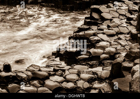 Basalt rocks, Giant Causeway, Coleraine, Northern Ireland, United Kingdom, Europe Stock Photo